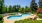 Swimming pool with pretty landscaping